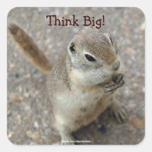 Desert Ground Squirrel Animal Motivational Stickers