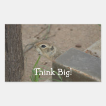 Desert Ground Squirrel Animal Motivational Sticker