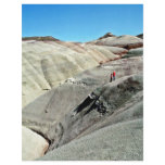 Desert Hills - Capitol Reef National Park Personalized Flyer