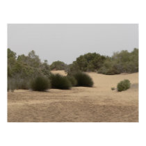Desert land 1 posters