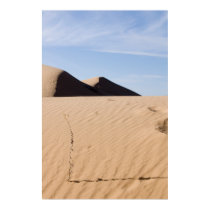 Desert landscape posters by TranquilityPhoto Desert landscape posters