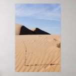 Desert landscape posters