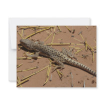 desert lizard invitations