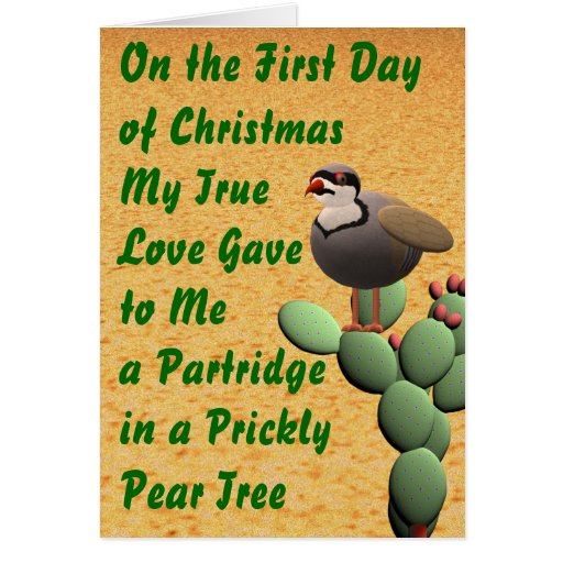 Desert Merry Christmas Card Zazzle