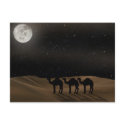 Desert Moon postcards
