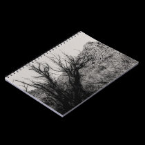 Desert Mountains notebooks