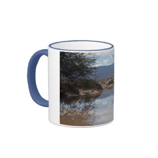 Desert Oasis Mugs mug