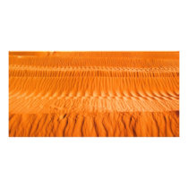 Desert photo cards