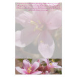 Desert Pink: Love is - Stationery