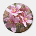 Desert Pink - Magnet #2