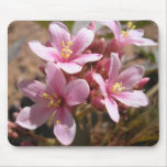 Desert Pink - Mousepad