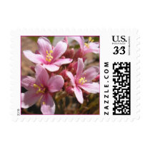 Desert Pink - Postage #2 postage