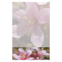 Desert Pink - Stationery