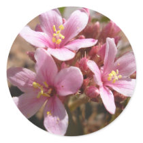 Desert Pink - Sticker