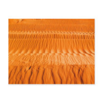 Desert postcards