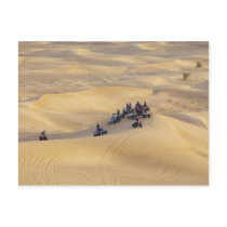 Desert quad bikes, Dubai postcards