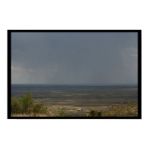 Desert Rain posters