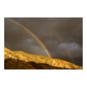 Desert Rainbow posters