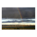 Desert Rainbow posters