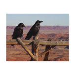 Desert Ravens Post Card