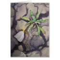 Desert Rose cards