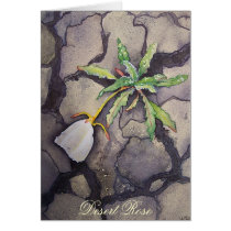 Desert Rose cards by wild_kat Desert Rose cards