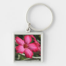 Desert Rose Keychain