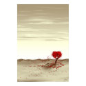 Desert Rose posters