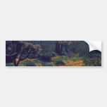 Desert Scenario Bumper Sticker