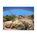 Desert Scene postcards