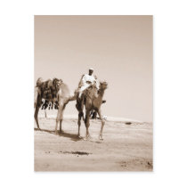Desert Scene Post Card