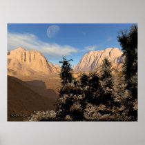 Desert Scene V.2 posters
