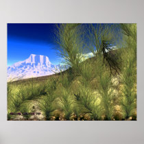 Desert Scene V.4 posters