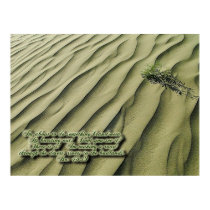 Desert Scripture Inspirational Poster