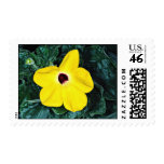 Desert sesame, Madagascar  flowers Postage Stamps