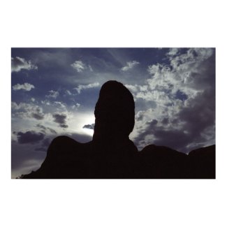Desert Silhouette print