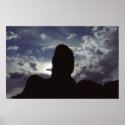 Desert Silhouette