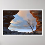 Desert Snow posters