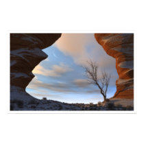Desert Snow posters by digitalblasphemy Desert Snow posters