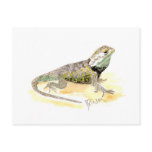 Desert Spiny Lizard Postcard