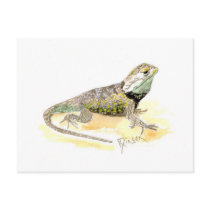 Desert Spiny Lizard Postcard by Critterpainter Desert Spiny Lizard Postcard