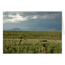 Desert Storm cards by JaguarPhotos Desert Storm cards
