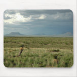 Desert Storm mousepads