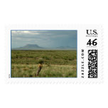 Desert Storm postage