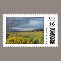 Desert Storm postage by JBertrand Desert Storm postage