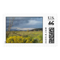 Desert Storm postage