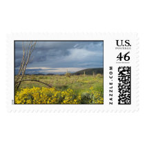Desert Storm postage by JBertrand Desert Storm postage