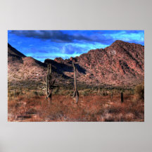 Desert Storm Poster