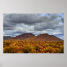 Desert Storm Print