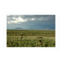 Desert Storm posters by JaguarPhotos Desert Storm posters
